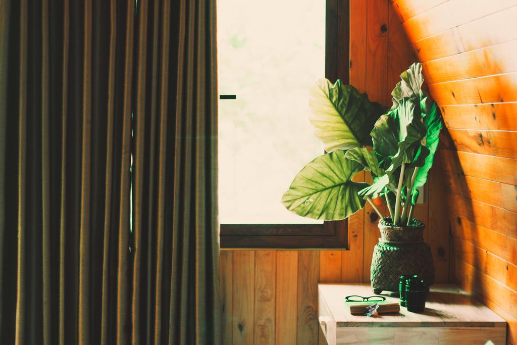 Chay Lap Farmstay Bo Trach Exteriér fotografie